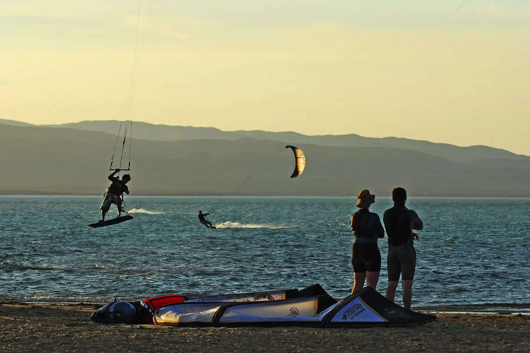 Paracas. ANDINA/Difusión