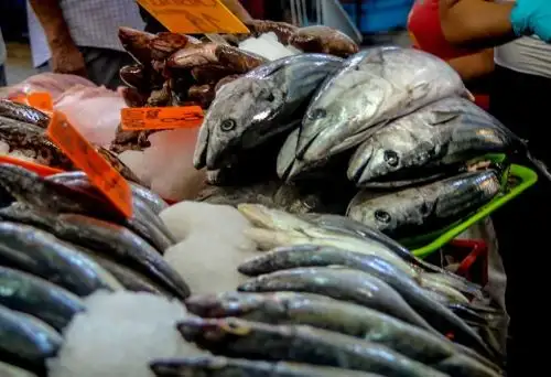 Pescados. Foto: ANDINA/Difusión