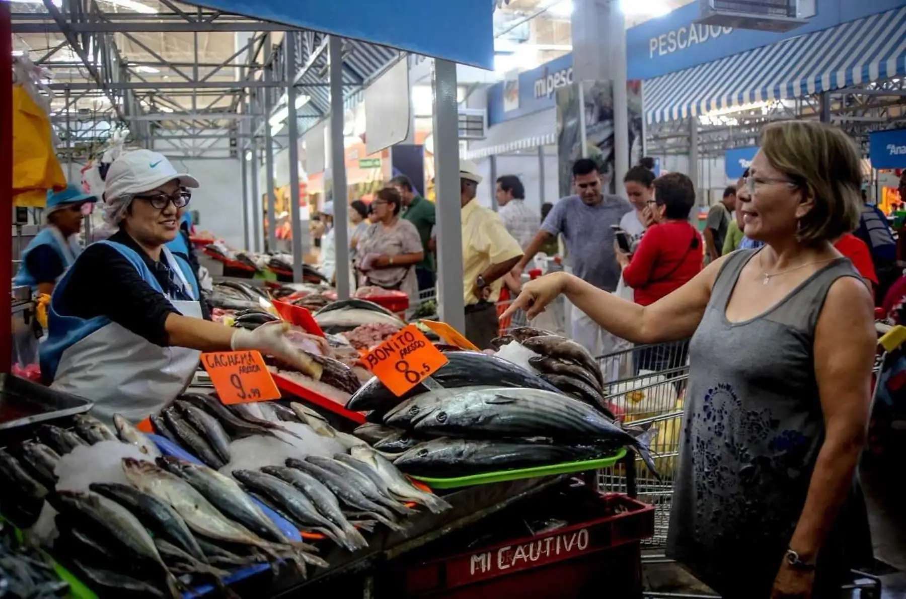 Cómo reconocer un pescado fresco.