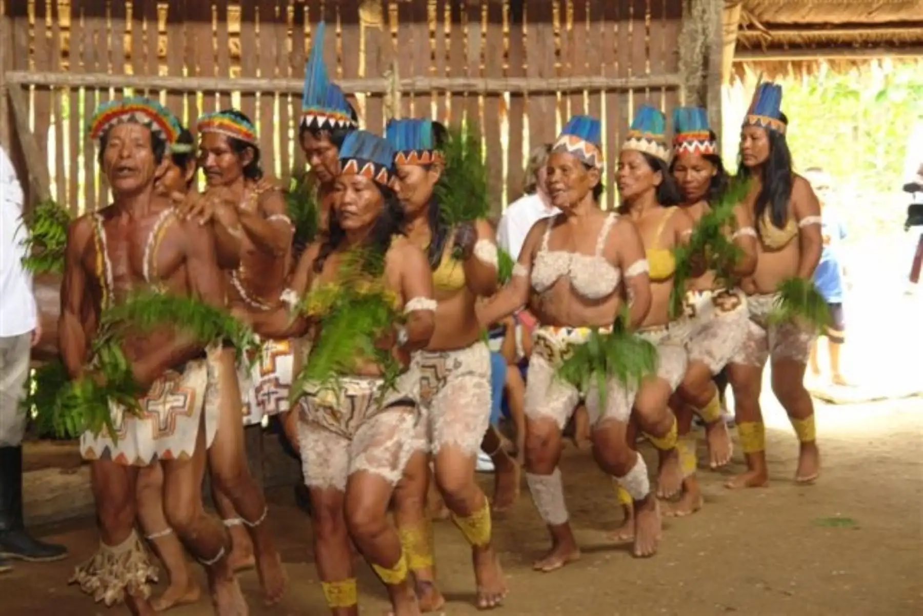 Tradicionalmente, el pueblo Ticuna se ha asentado en ambas márgenes del río Amazonas y sus afluentes, cerca de la frontera peruana con Colombia y Brasil. Actualmente, este pueblo se ubica principalmente en el departamento de Loreto. Según datos obtenidos por el Ministerio de Cultura, la población de las comunidades Ticuna se estima en 8,330 personas.