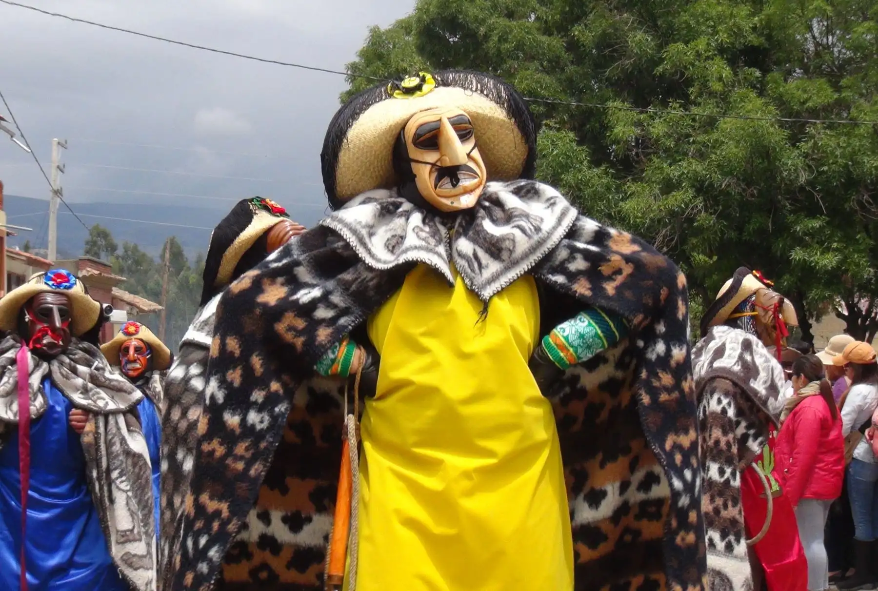 Foto: ANDINA/Difusión.