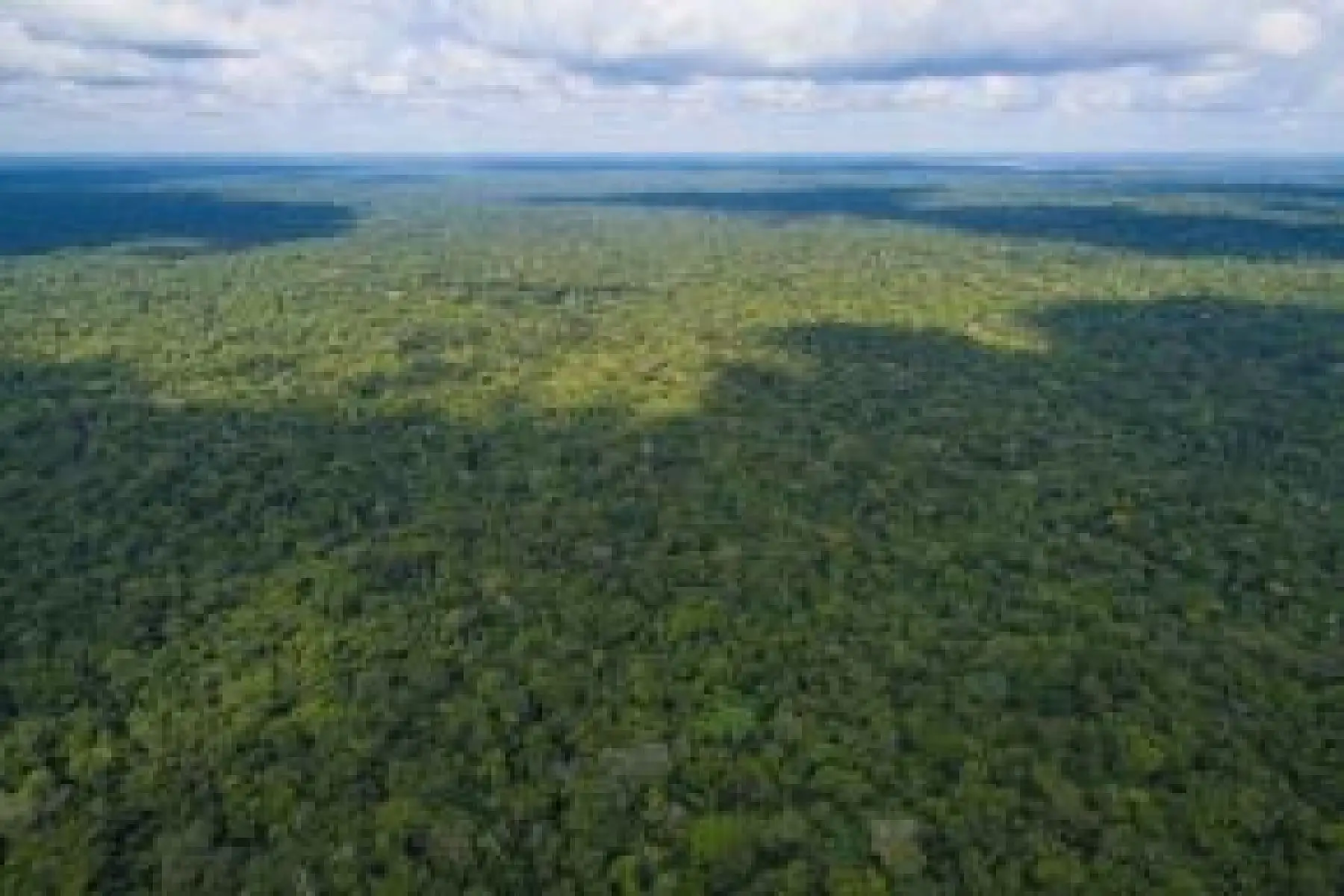 Se busca asegurar conservación de aproximadamente 2 millones de hectáreas de bosques que son medio de vida de las comunidades y contribuyen a la mitigación del cambio climático.