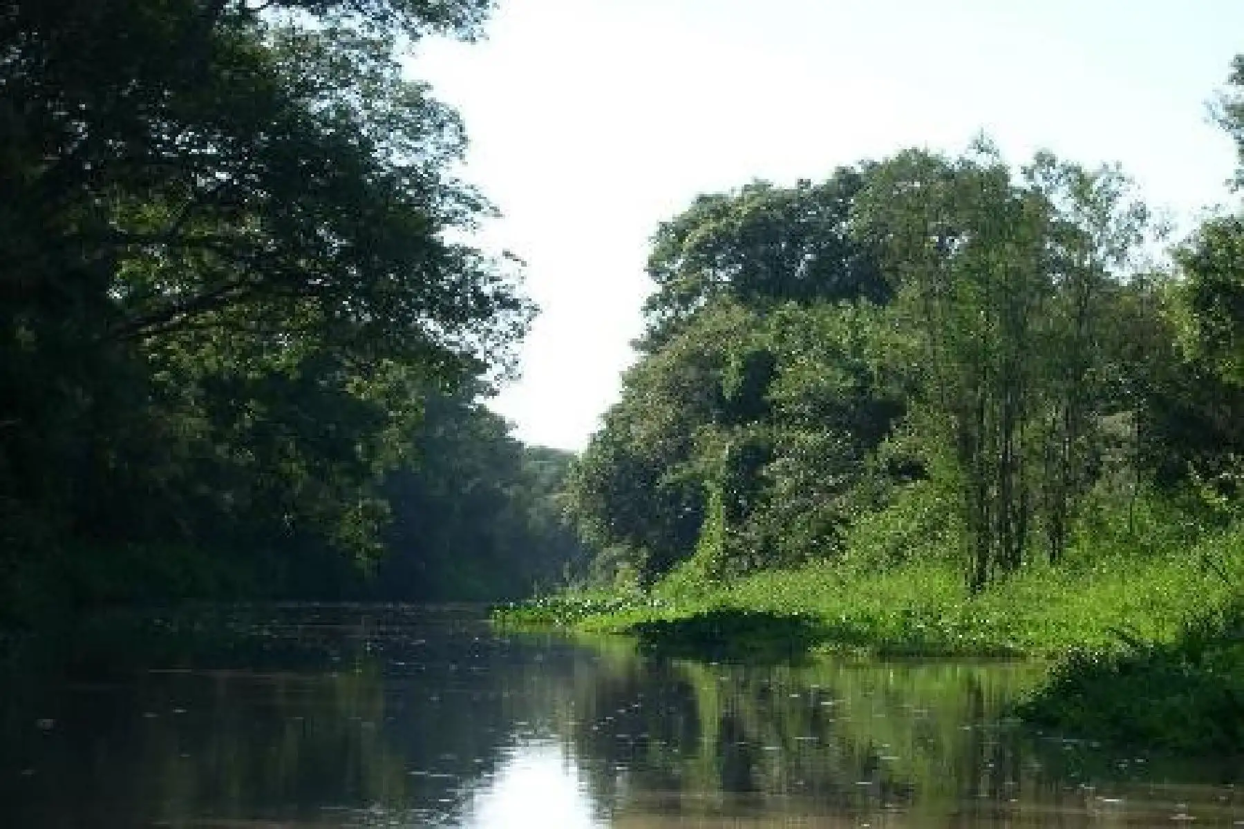Documento busca orientar al país hacia un desarrollo económico y social que  genere empleo de calidad y aprovechamiento sostenible de sus recursos naturales, entre otros objetivos.