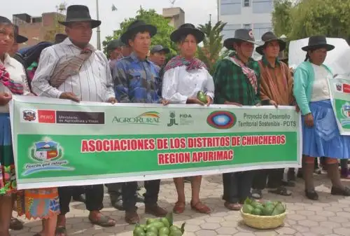 Foto: ANDINA/Difusión.