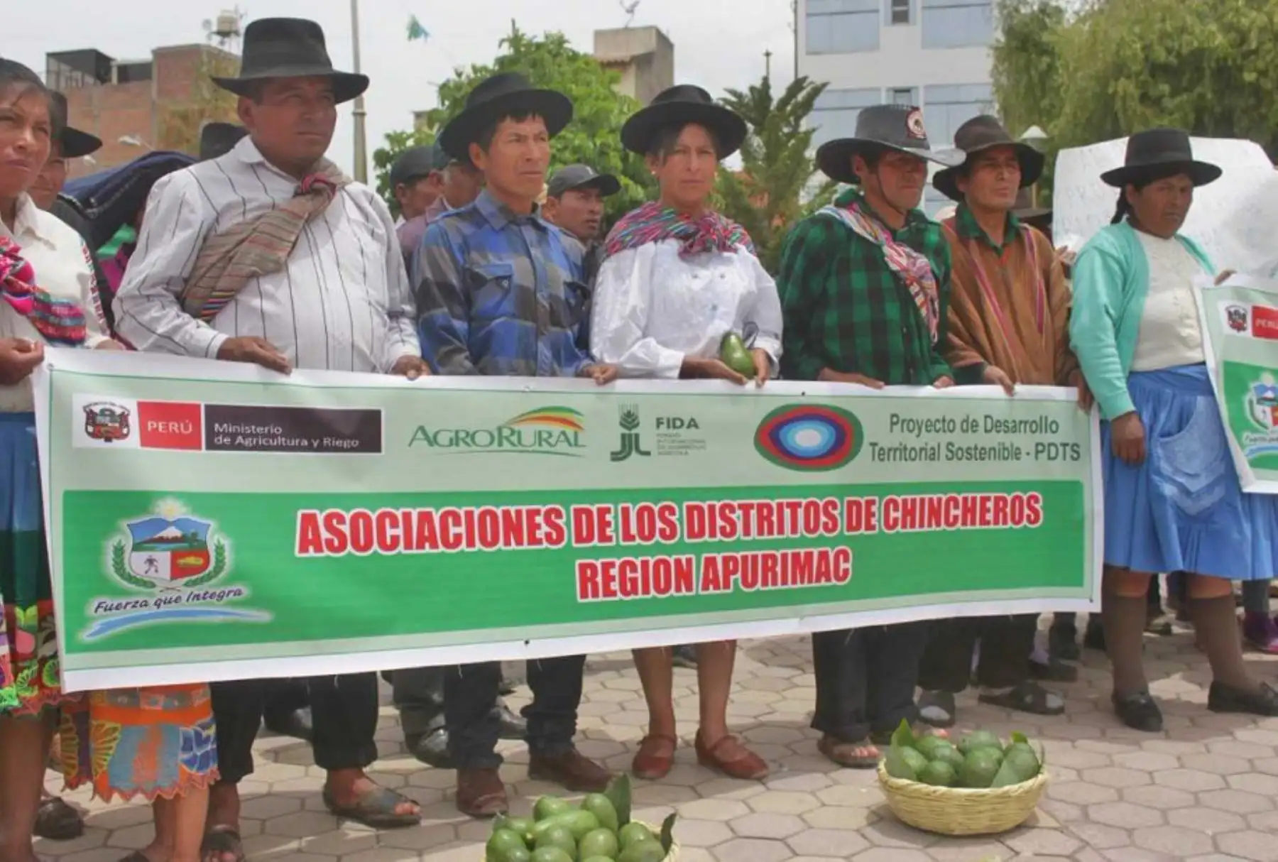 Foto: ANDINA/Difusión.