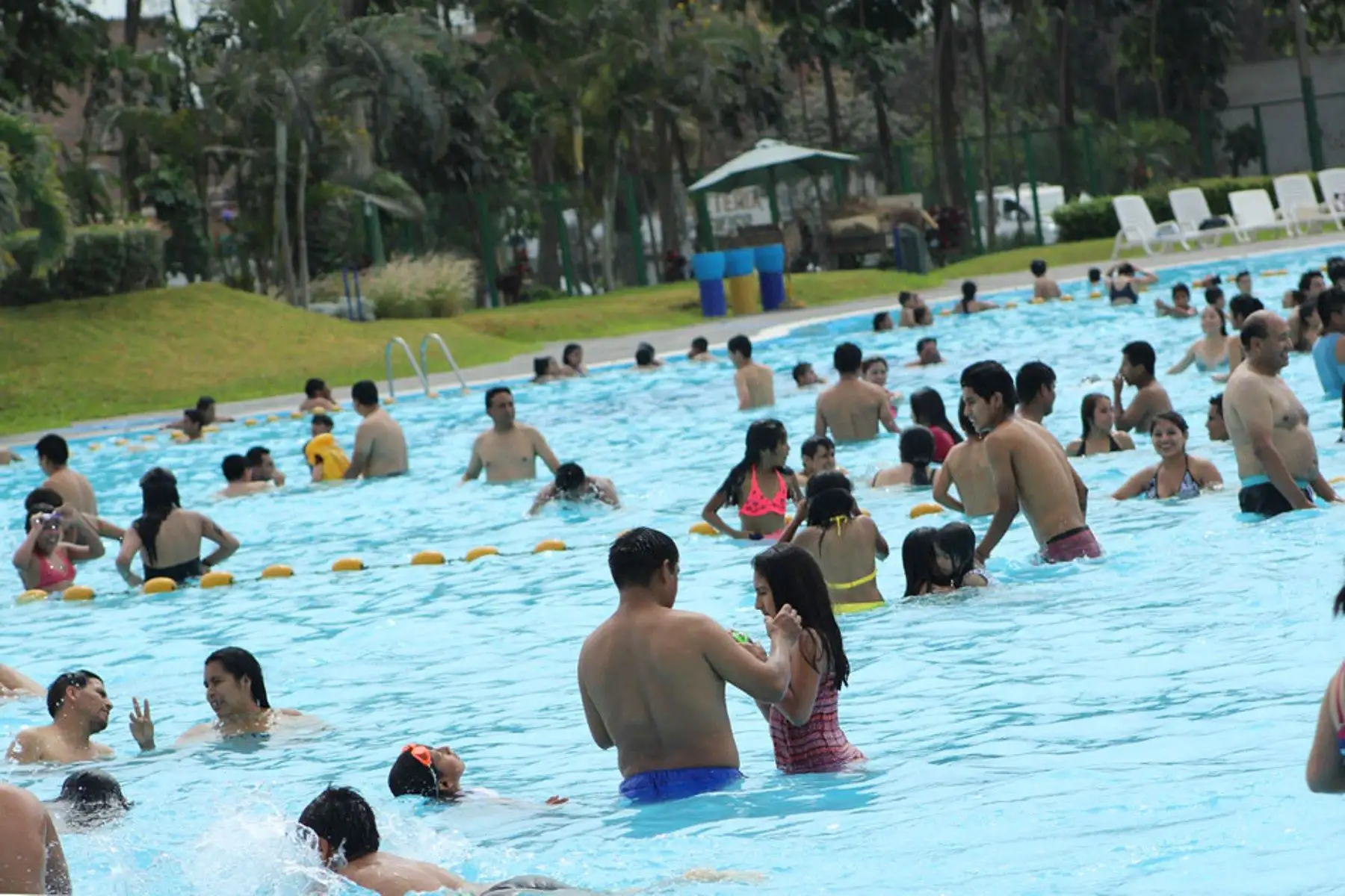 Piscinas de clubes zonales de Lima abrieron al público por inicio de verano. Foto: ANDINA/Difusión.