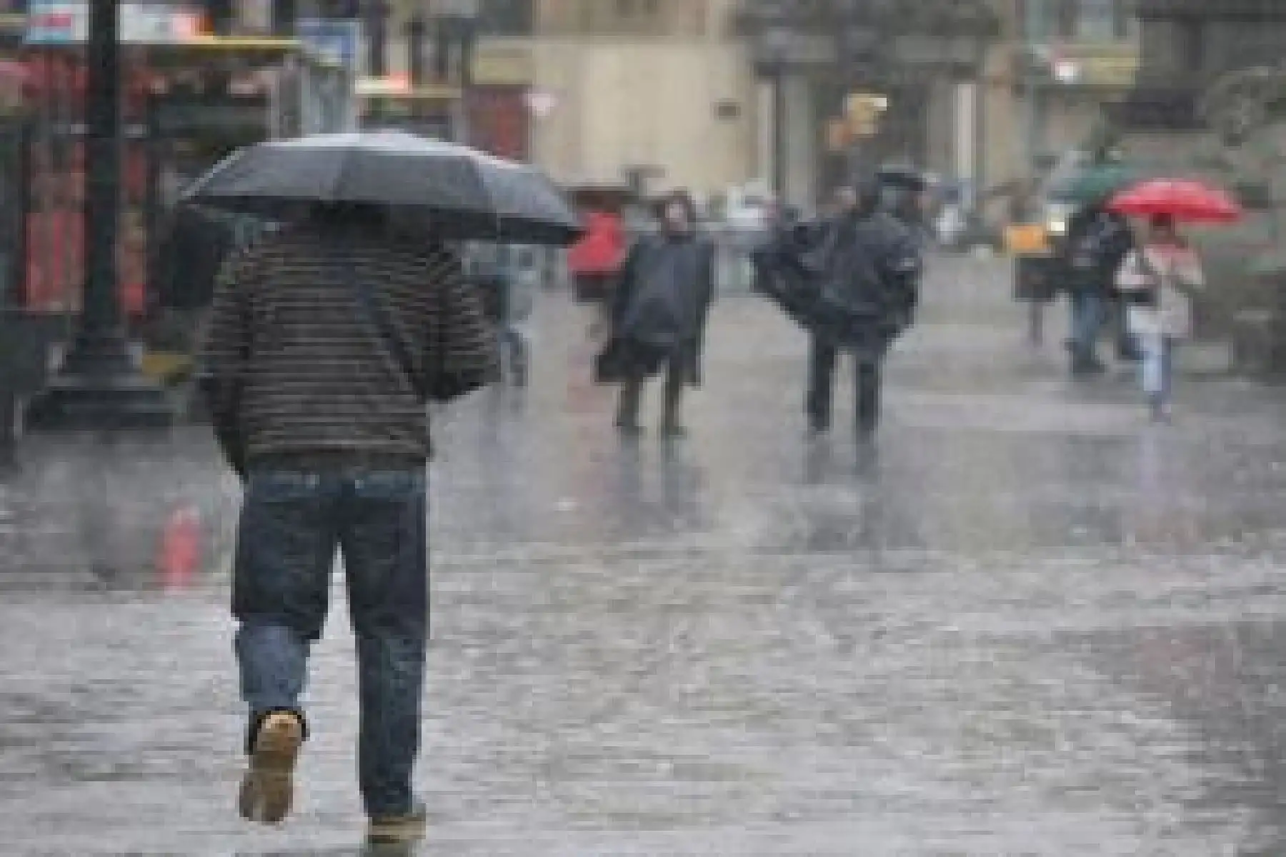 Lluvias de moderada a fuerte intensidad se registran desde hoy hasta la mañana del miércoles 17 de enero en 59 provincias de la selva pertenecientes a doce regiones del país, informó el Servicio Nacional de Meteorología e Hidrología (Senamhi) al Centro de Operaciones de Emergencia Nacional (COEN) del Ministerio de Defensa. ANDINA/Difusión