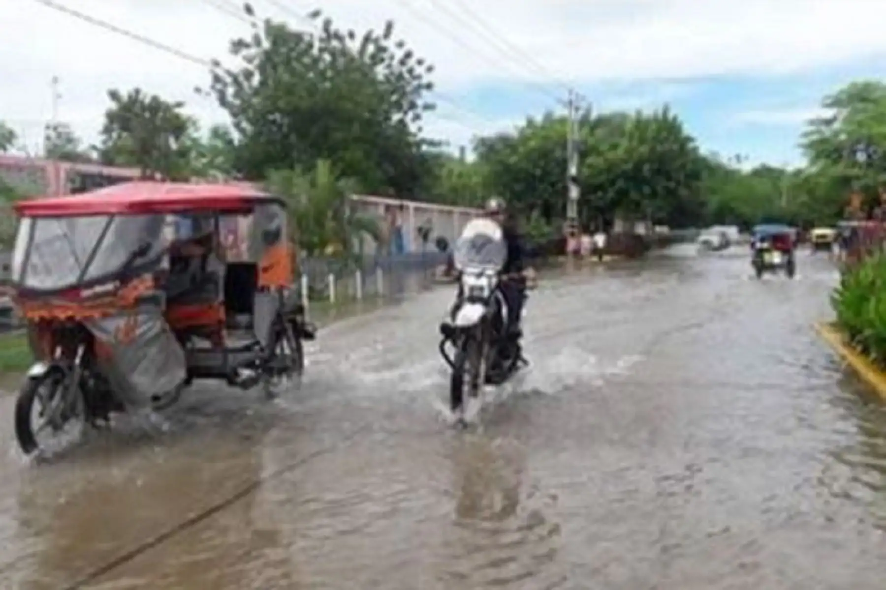 Lluvia de moderada a fuerte intensidad se registrará en la selva desde mañana miércoles 13 al viernes 15 de marzo. Se espera que en el sector norte los mayores acumulados pluviales superen los 50 milímetros por día, informó el Servicio Nacional de Meteorología e Hidrología (Senamhi). ANDINA/Difusión