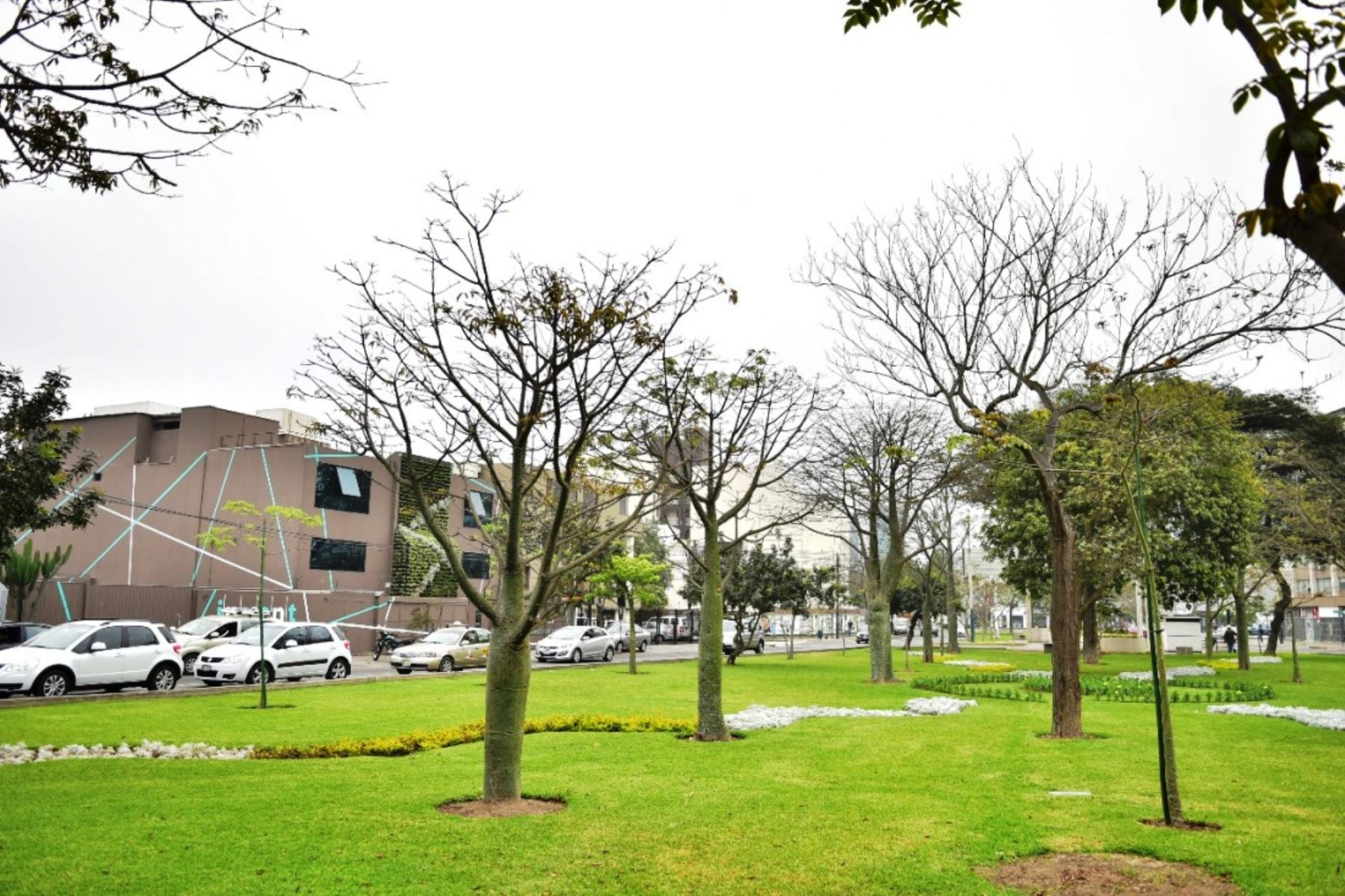 Minam exhorta a municipio de Lima respetar áreas verdes de uso público. Foto: ANDINA/Difusión.