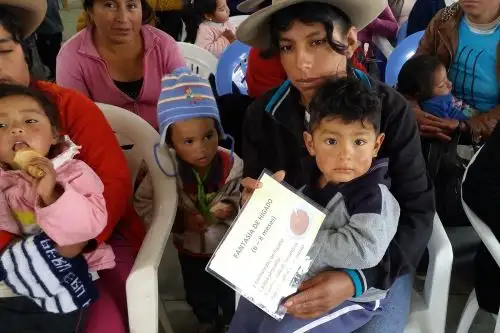ANDINA/Difusión
