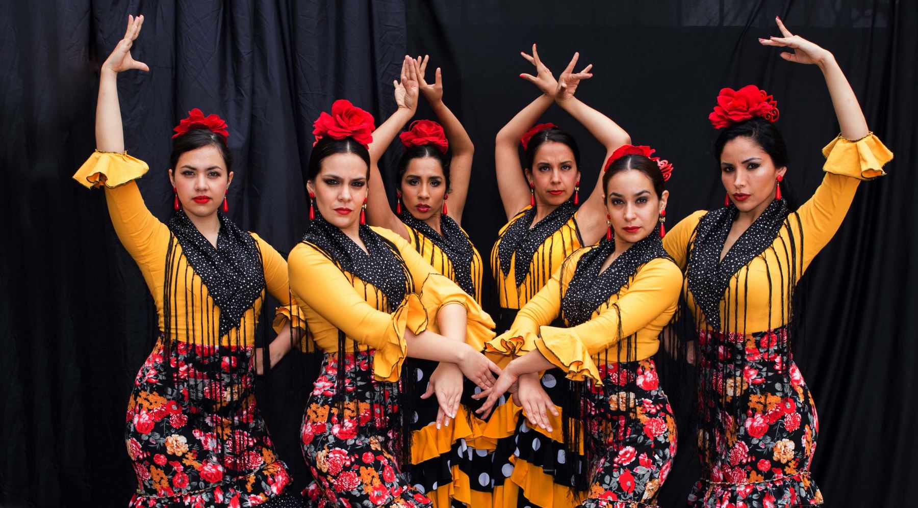 Espectáculo Pasión flamenca
