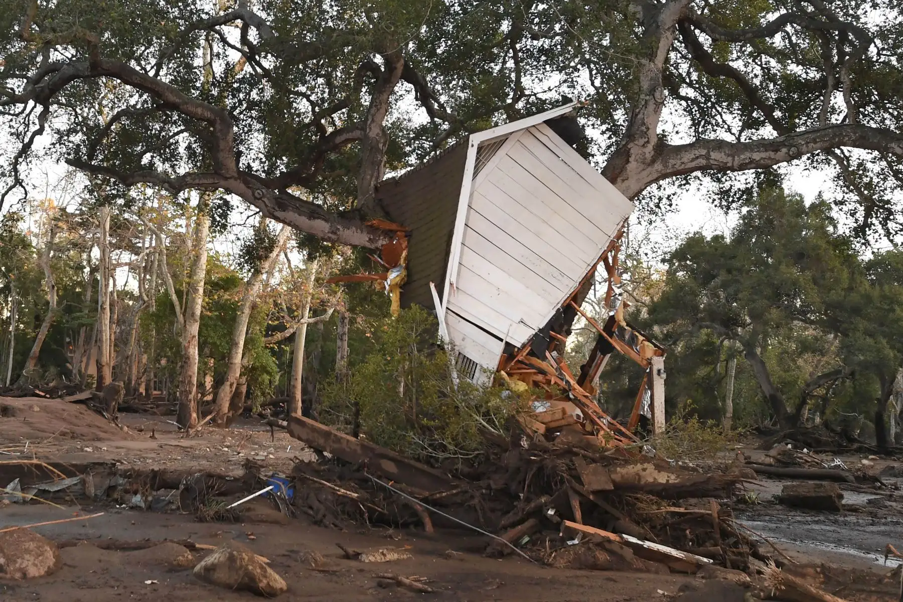 Autoridades de California intensifican la búsqueda de más de 20 desaparecidos por las inundaciones en Los Angeles. Foto: AFP