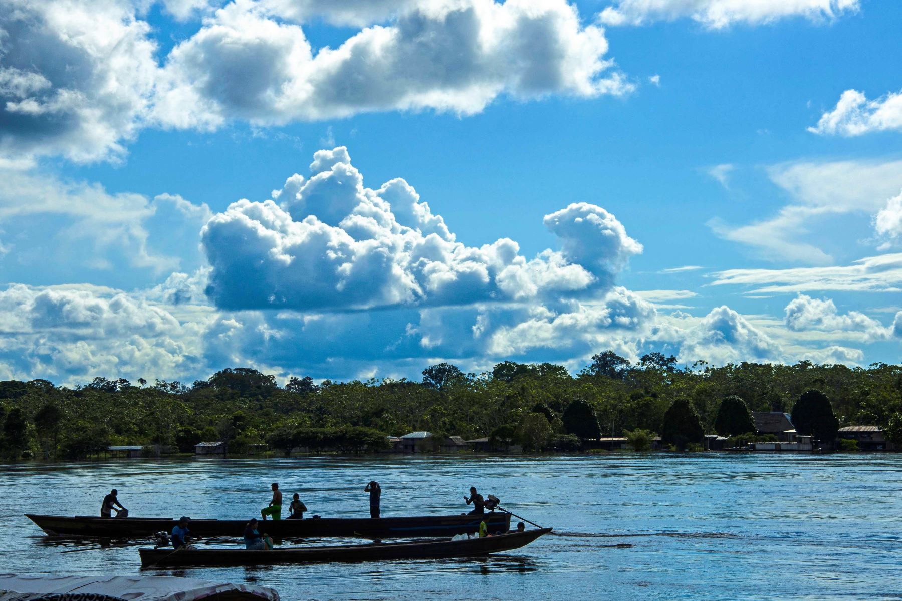 Ministerio del Ambiente oficializa creación del Parque Nacional Yaguas en Loreto. ANDINA/Difusión