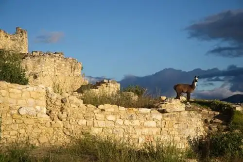 Ciudadela fortificada de Kuélap recibe reconocimiento como destino turístico para visitar, conocer y disfrutar este año. Foto: Promperú