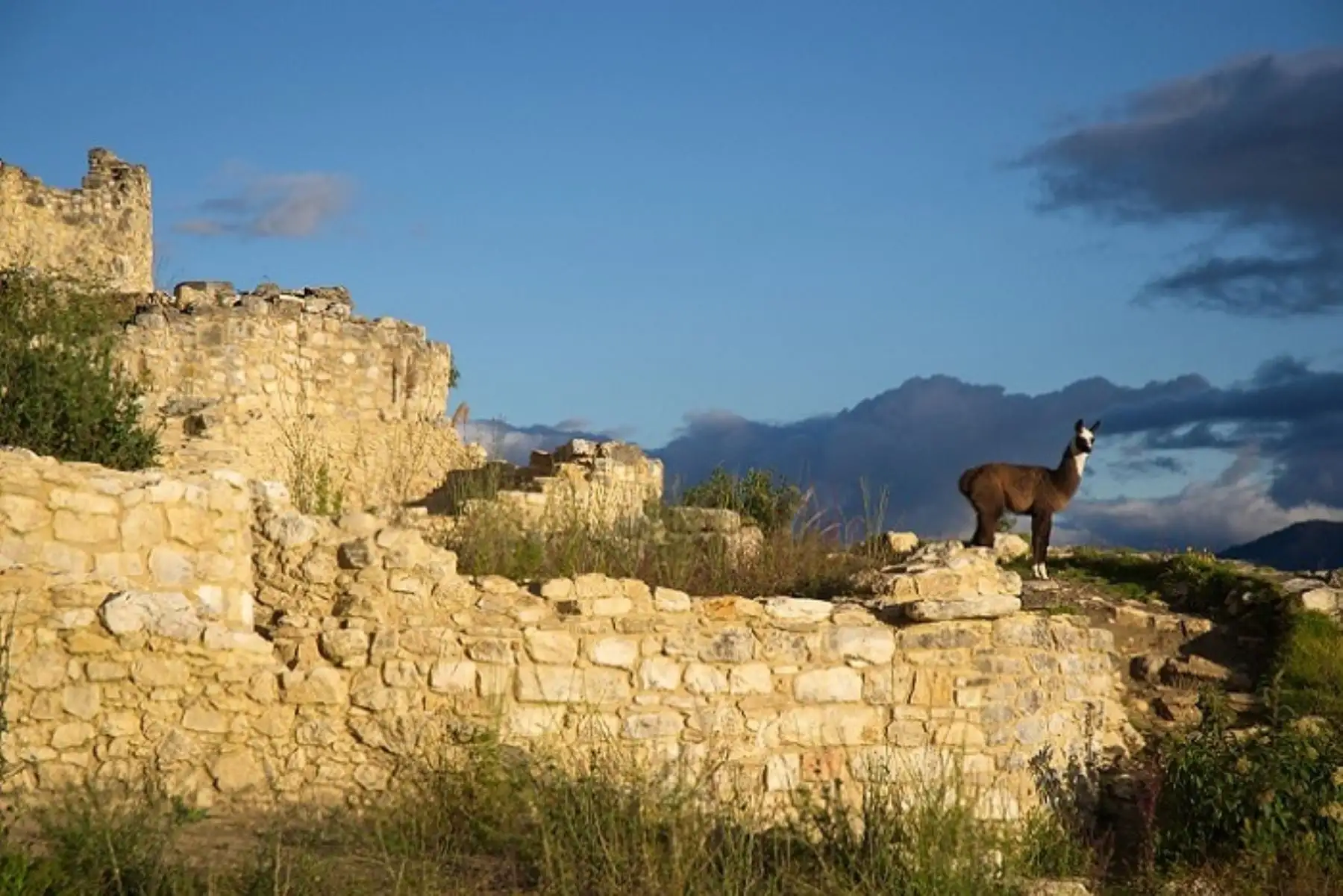 Ciudadela fortificada de Kuélap recibe reconocimiento como destino turístico para visitar, conocer y disfrutar este año. Foto: Promperú