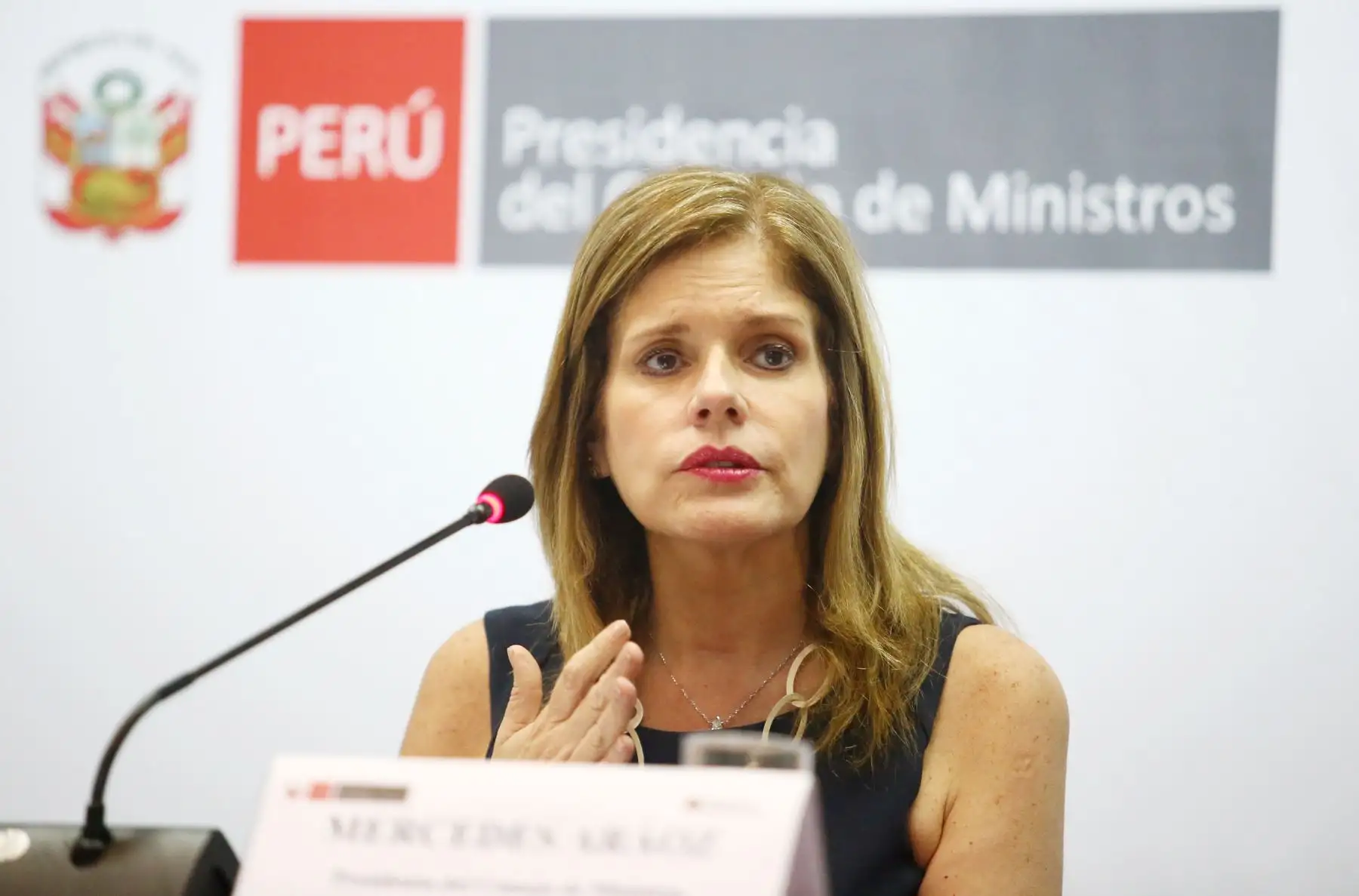 Foto: ANDINA/Melina Mejía.