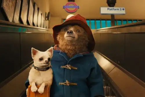 El oso paddington en una nueva aventura. INTERNET/Medios