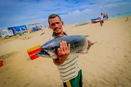 Pescador artesanal