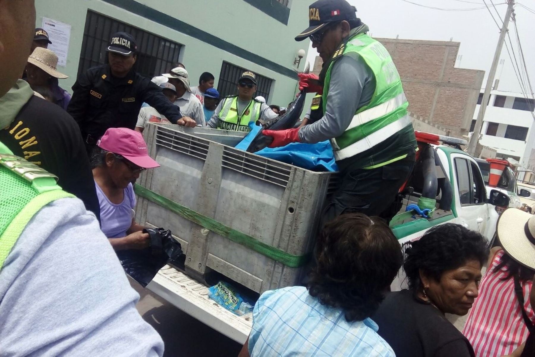 Más de una tonelada de pescado y provisiones de agua embotellada repartió la Policía Nacional a los pobladores de la provincia de Caravelí, en Arequipa, que fueron afectados por el sismo de 6.8 grados de magnitud que afectó a dicha región el domingo último.