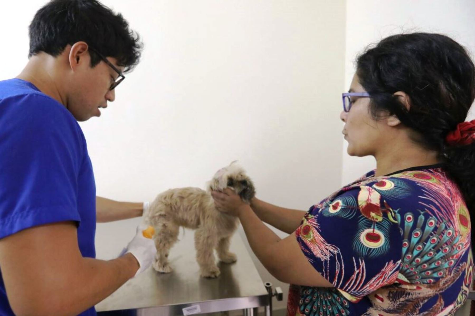 Inauguran veterinaria a costos sociales para cuidar salud de mascotas y vecinos. Foto: ANDINA/Difusión.
