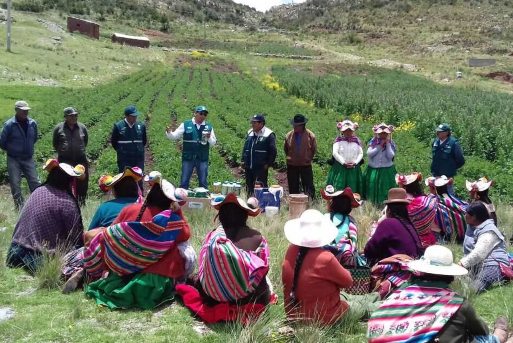 Agricultura peruana.Foto:  ANDINA/Difusión.