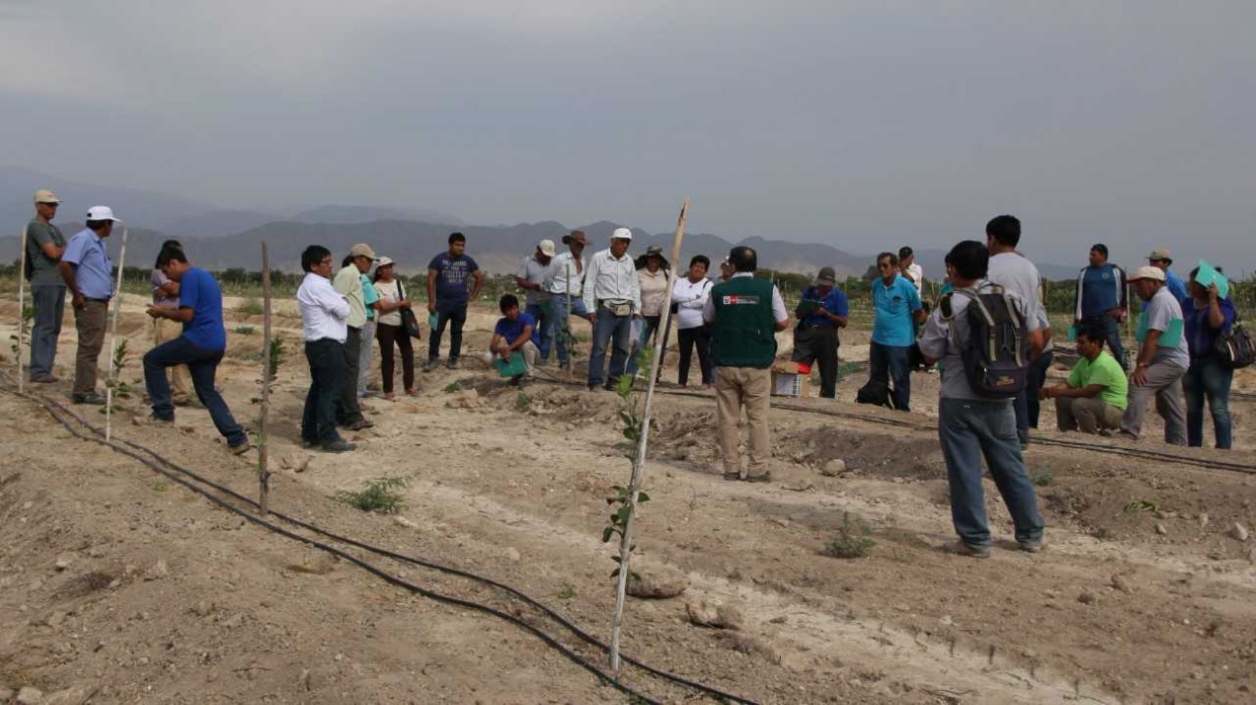 Minagri capacita a agricultores de la región Ica en manejo de sistema de riego tecnificado.