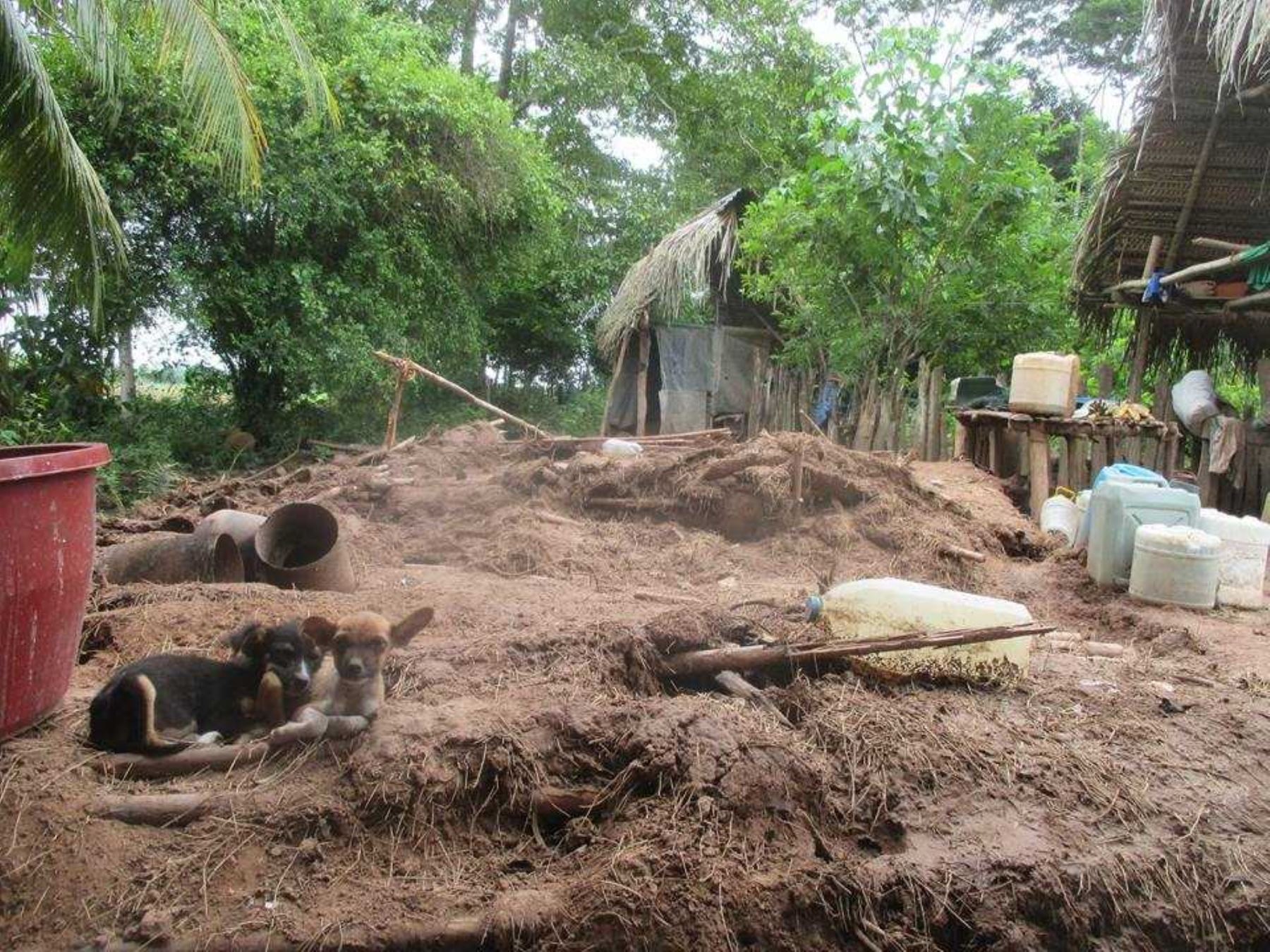 Tres familias del distrito de San Hilarión, en la región San Martín, resultaron damnificadas por el desborde del río Sisa, debido al incremento de su caudal por las intensas lluvias que se registran en la selva peruana.