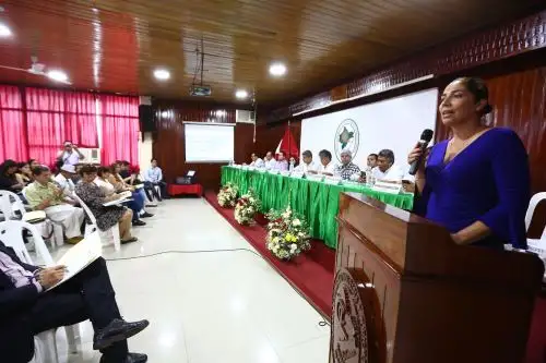 La presidenta de la Comisión de Constitución y Reglamento, Úrsula Letona.