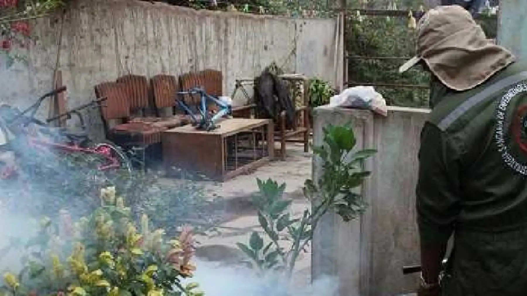 Se planifican dos semanas de intenso trabajo hasta cumplir las tres vueltas de fumigación en puntos críticos. ANDINA/Difusión