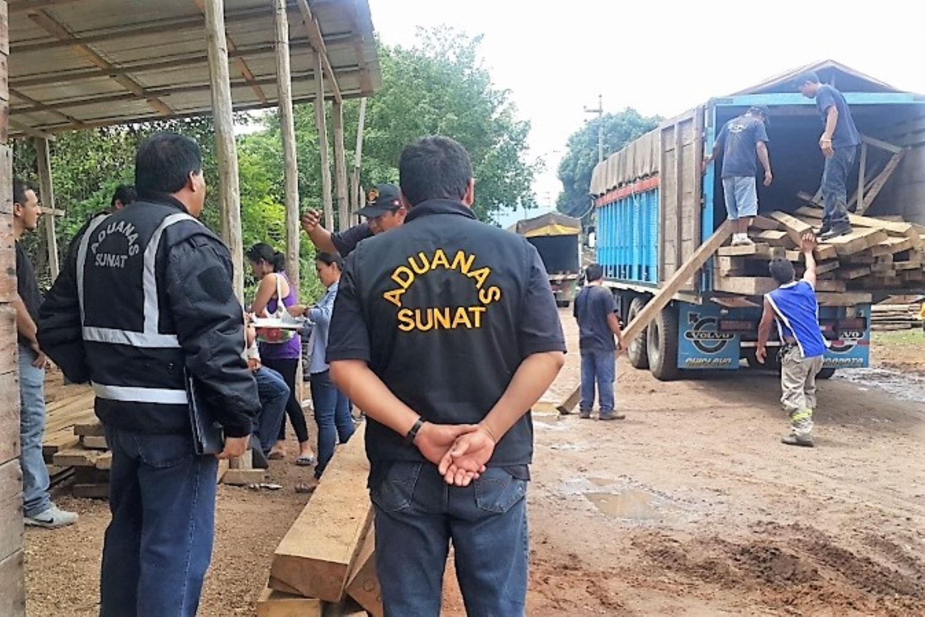 Aduanas interviene cargamento de madera ilegal en San Martín. ANDINA/Difusión