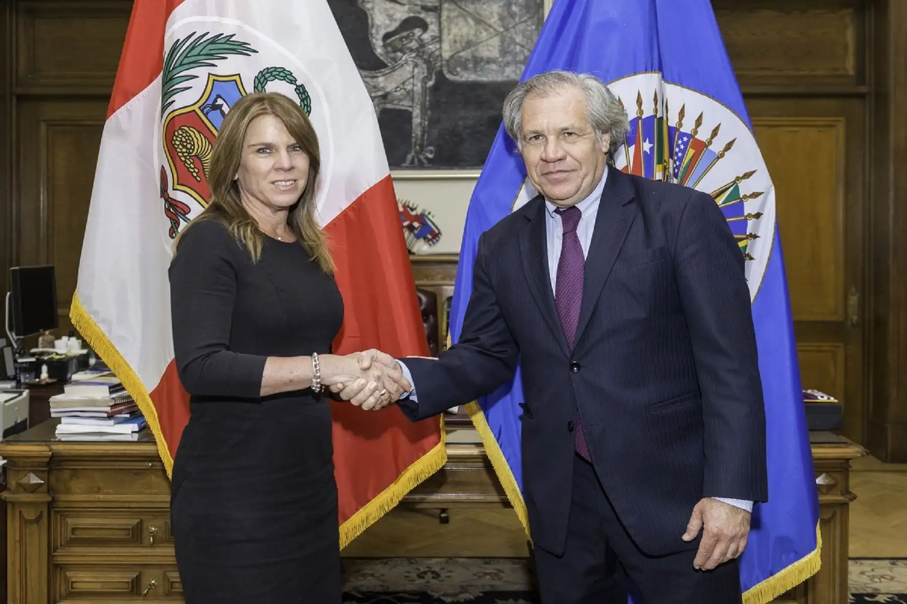 Ministra Cayetana Aljovín, se reúne con secretario general de la OEA, Luis Almagro.