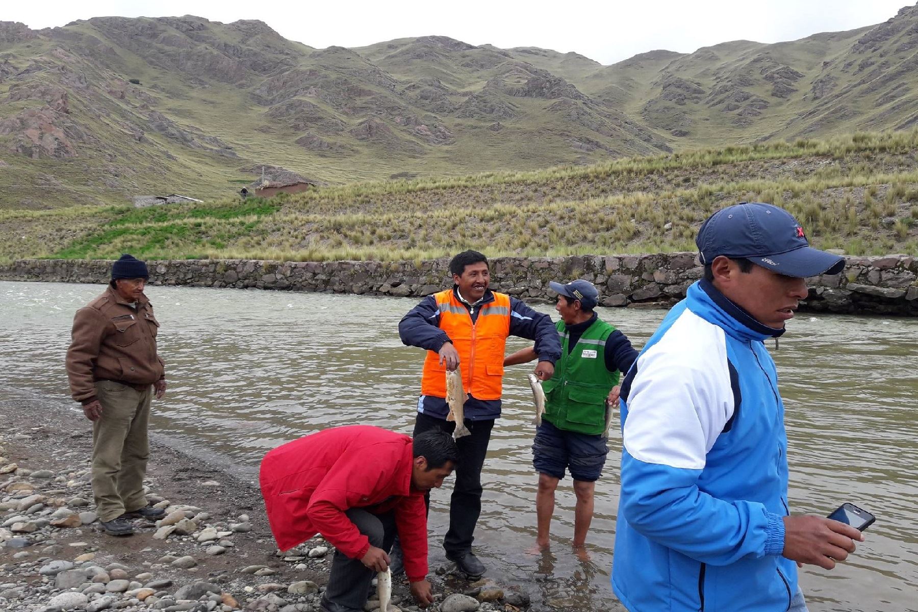 Denuncian el hallazgo de peces muertos en río Llallimayo, en Puno. ANDINA