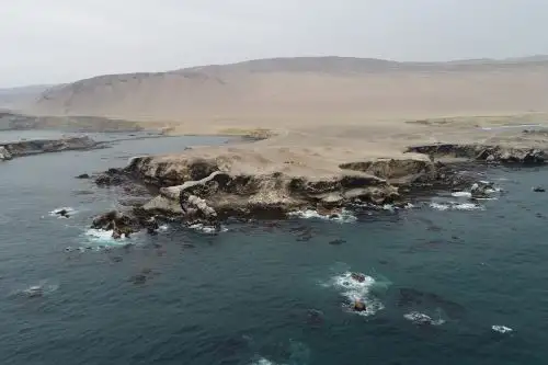 Mejorarán controles para conservación de Reserva Nacional San Fernando, en Ica. ANDINA/Difusión