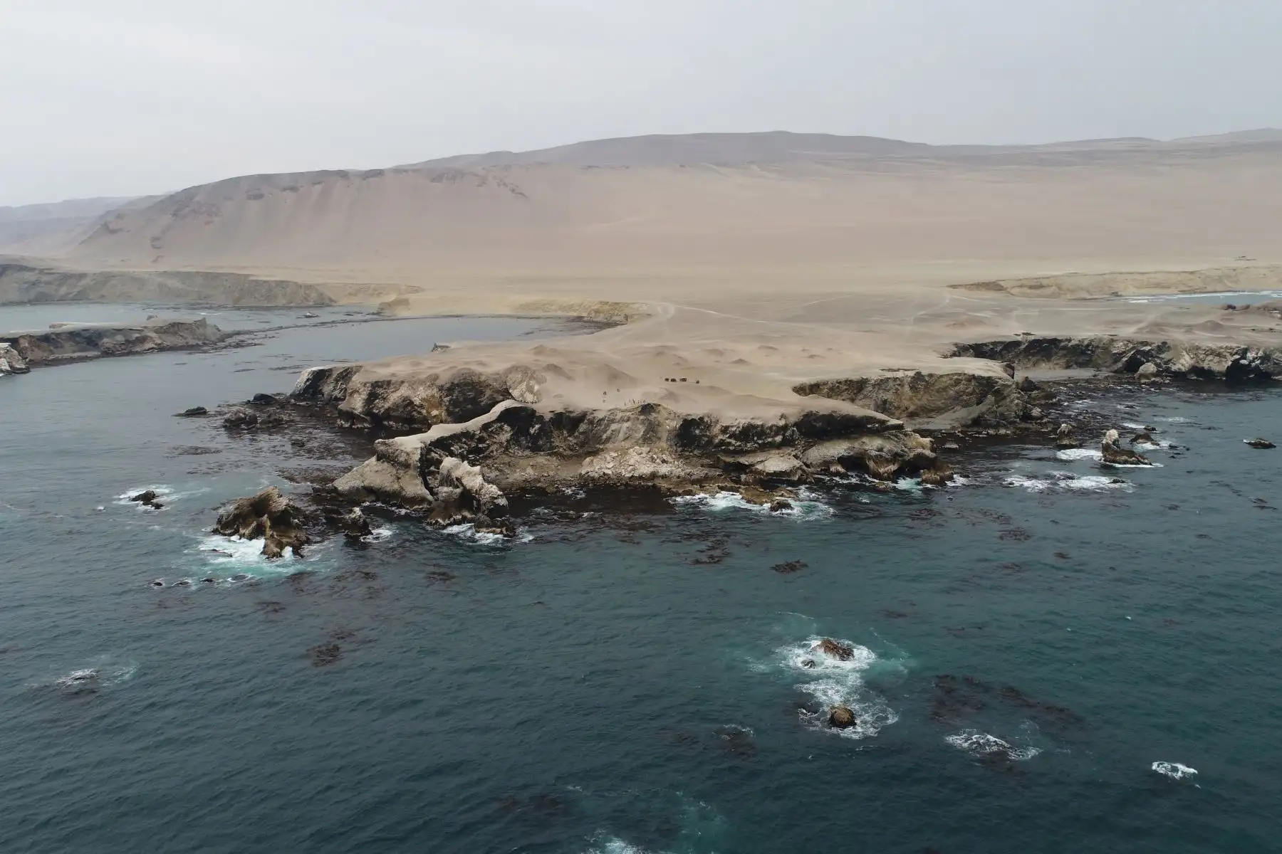 Mejorarán controles para conservación de Reserva Nacional San Fernando, en Ica. ANDINA/Difusión