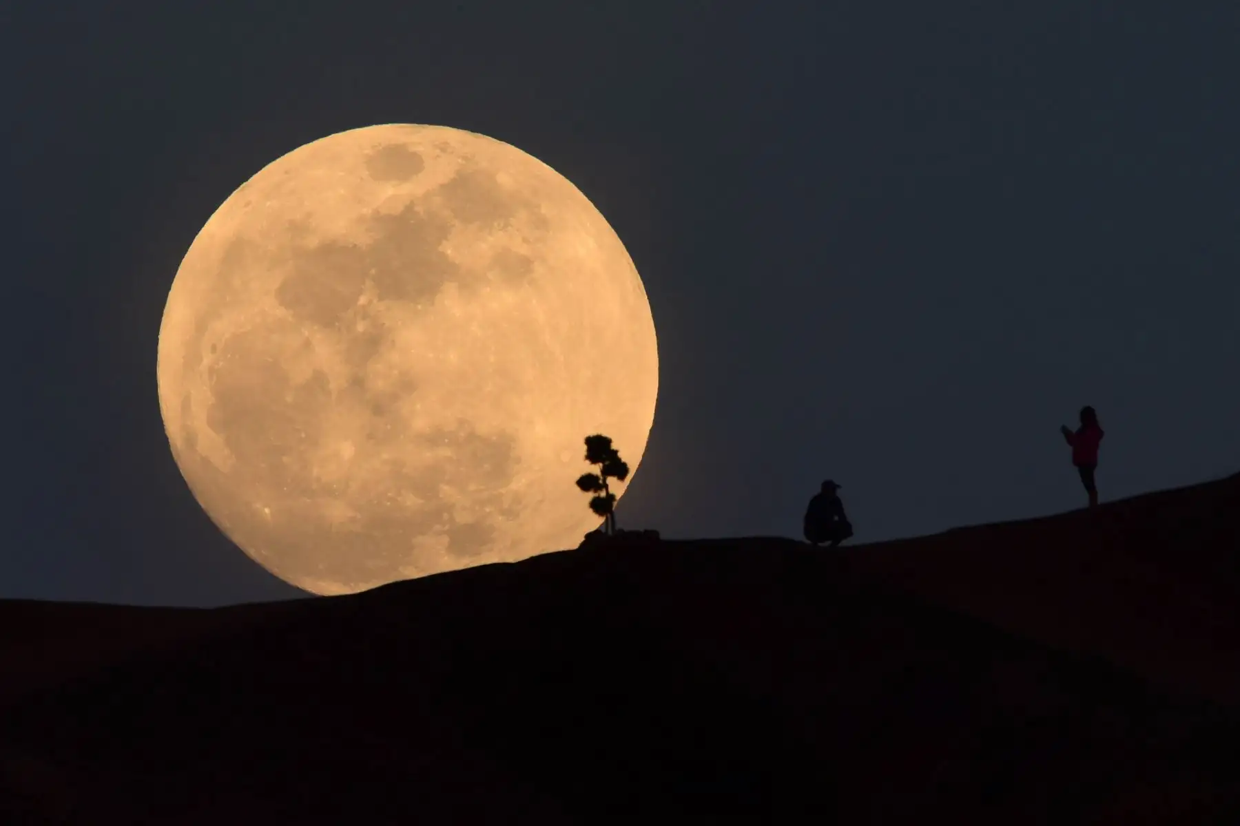 Una persona posa para una foto mientras observa la luna sobre Griffith Park en Los Ángeles, California. Foto: AFP