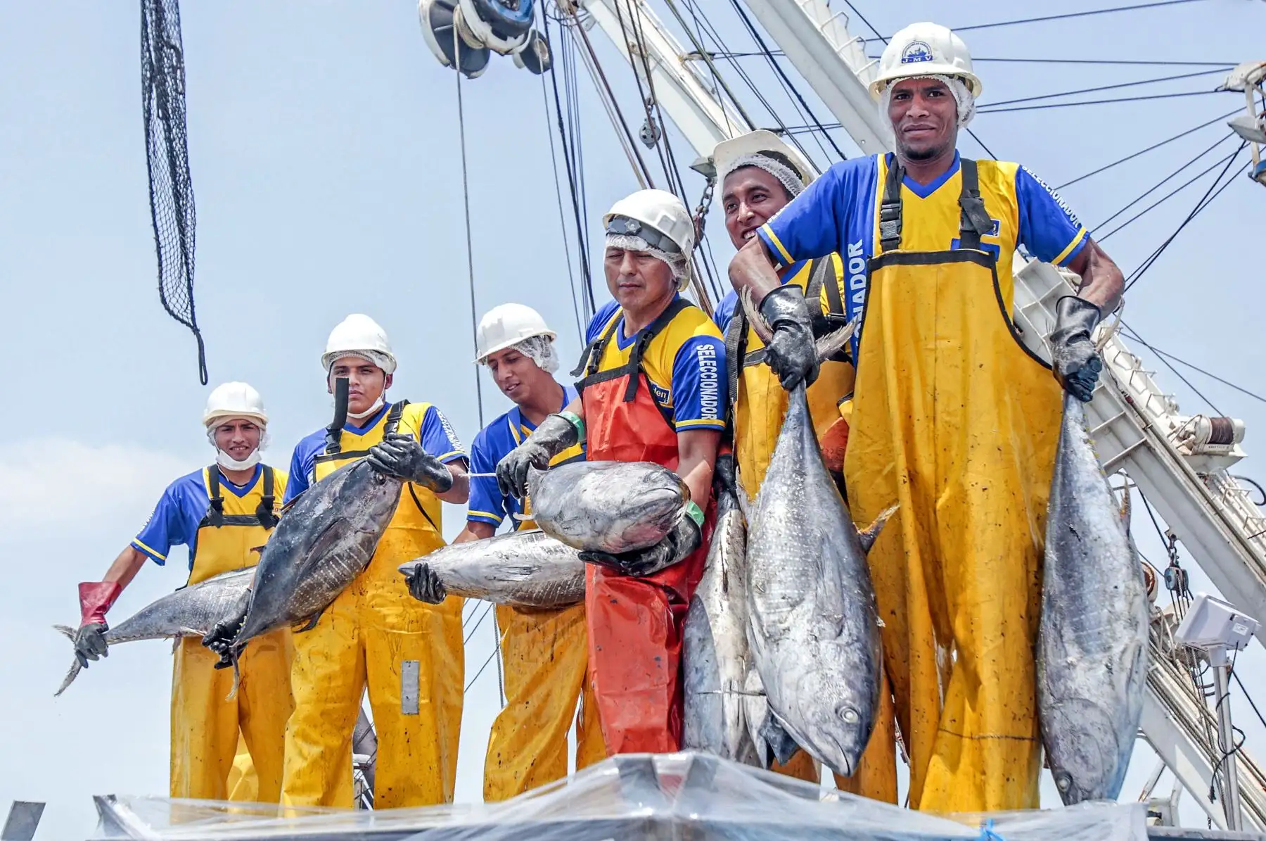 Pesca de atún.