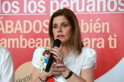 Foto: ANDINA/Norman Córdova.