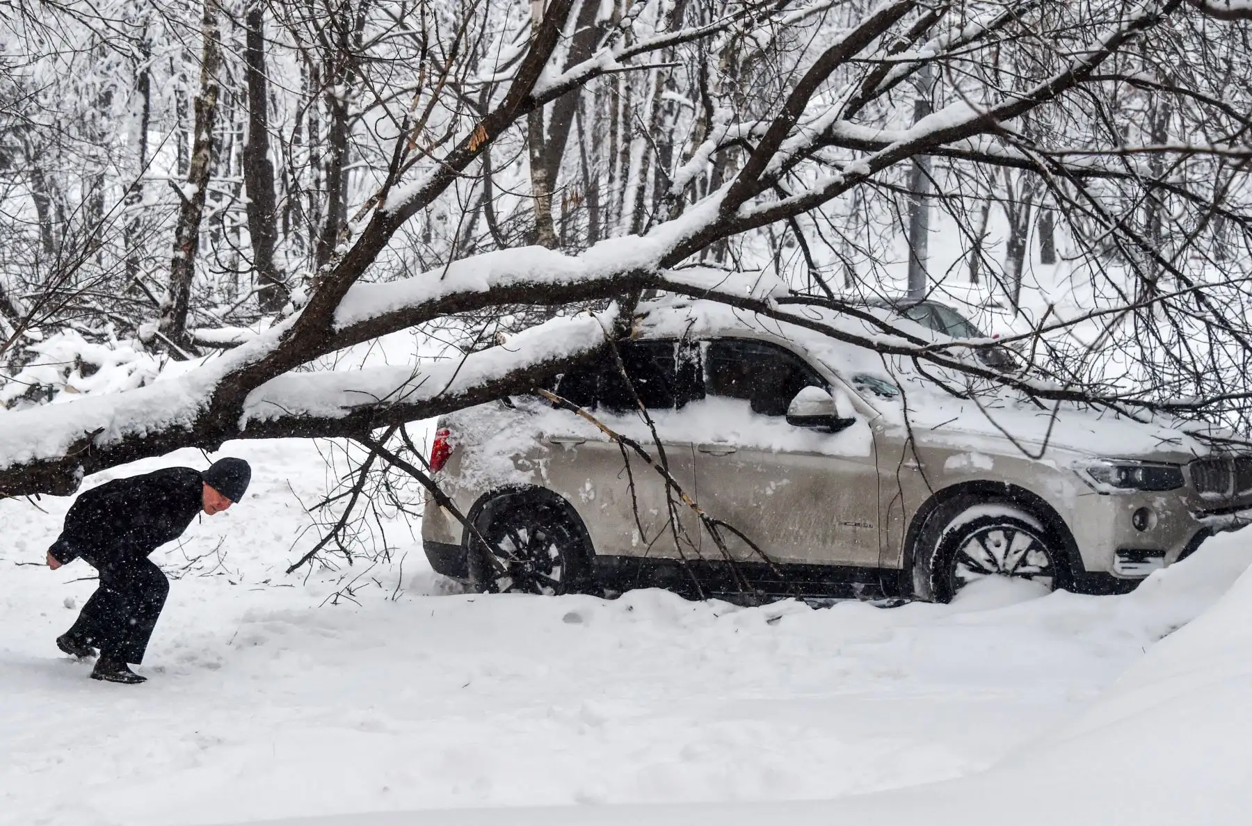 Un hombre camina bajo un árbol después de una tormenta de nieve en Moscú. Foto: AFP