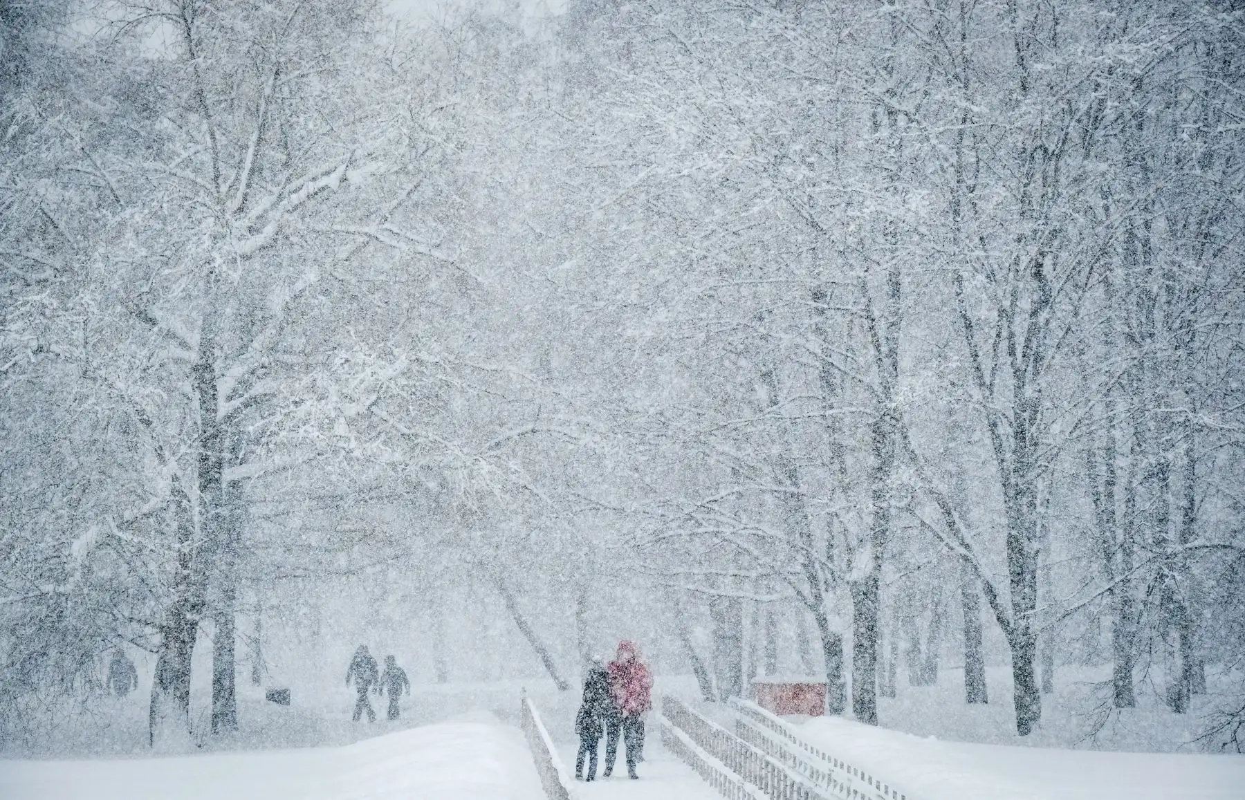 Fuerte nevada en Moscú. Foto: AFP