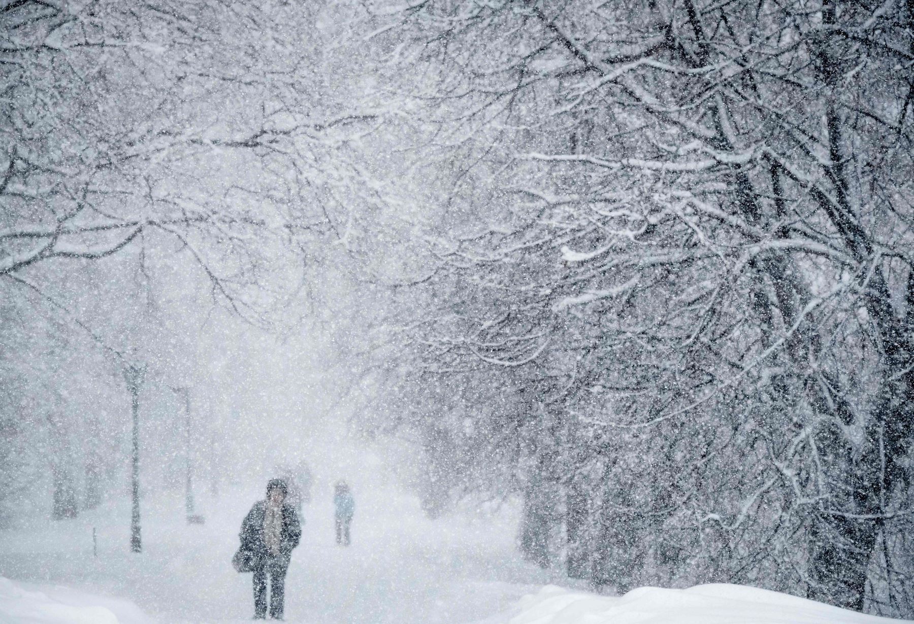 Gente camina a la través de la  fuerte nevada. Foto: AFP