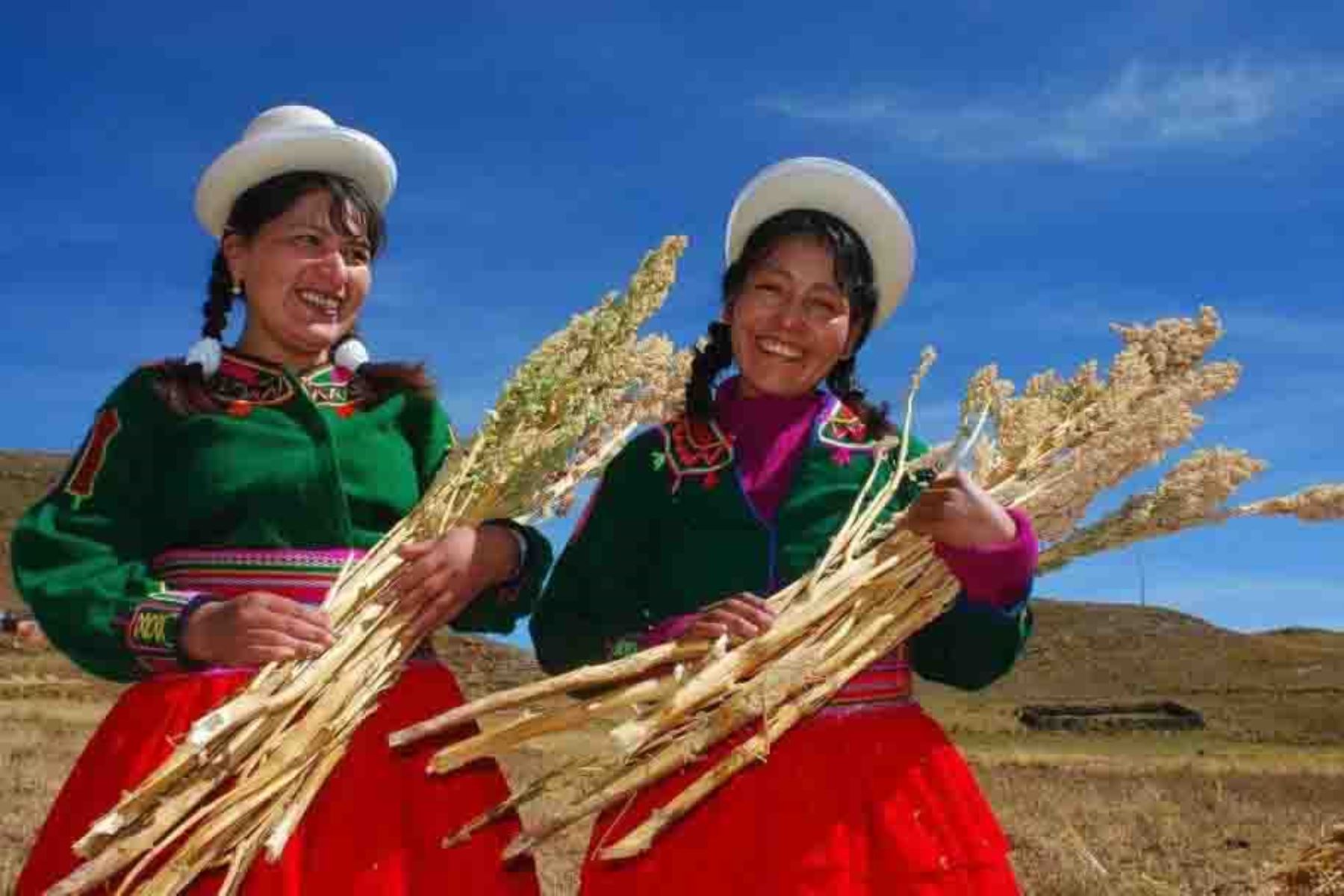 Entre febrero de 2018 y marzo de 2020, el Ministerio de Agricultura y Riego (Minagri) proyecta titular de forma gratuita a más de 100,000 predios pertenecientes a comunidades campesinas e indígenas de las regiones de Apurímac, Cusco y Puno.