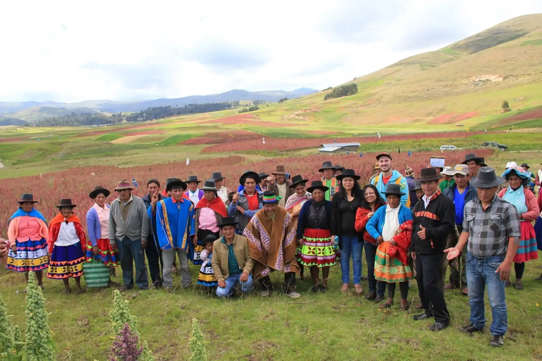 Productores de Andahuaylas que exportan a Italia. Foto: Cortesía Mincetur.