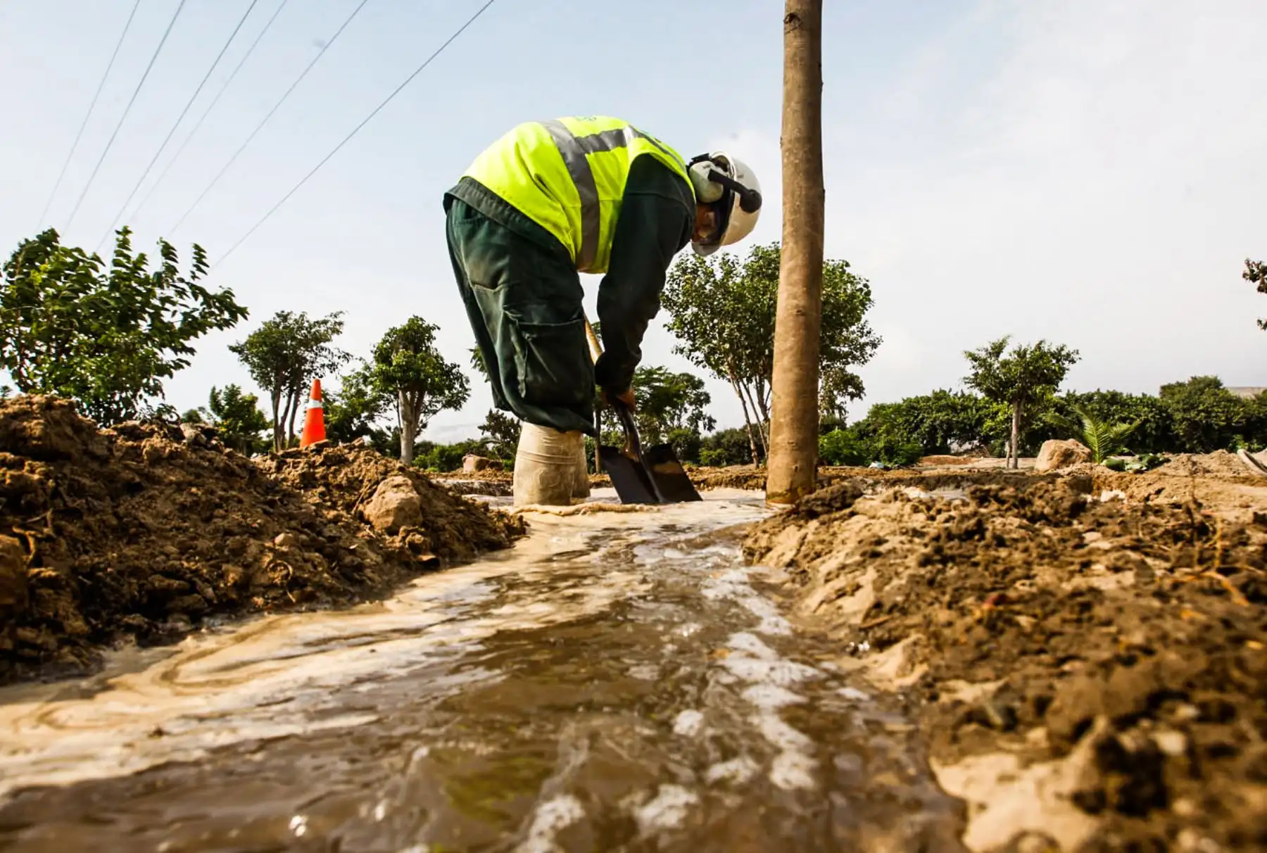 Los profesionales expertos en arborización de Serpar riegan los árboles resembrados durante mes y medio para evitar los efectos de las sales. Además, se les suministra buenos nutrientes para que las plantas “peguen” en su segundo hogar. Foto: ANDINA/ Eddy Ramos