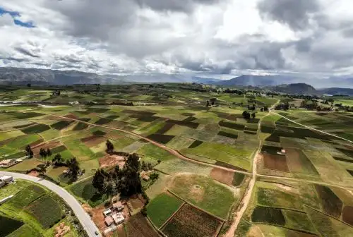 ANDINA/Difusión