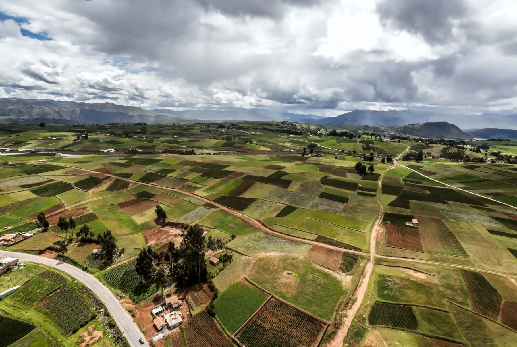 ANDINA/Difusión