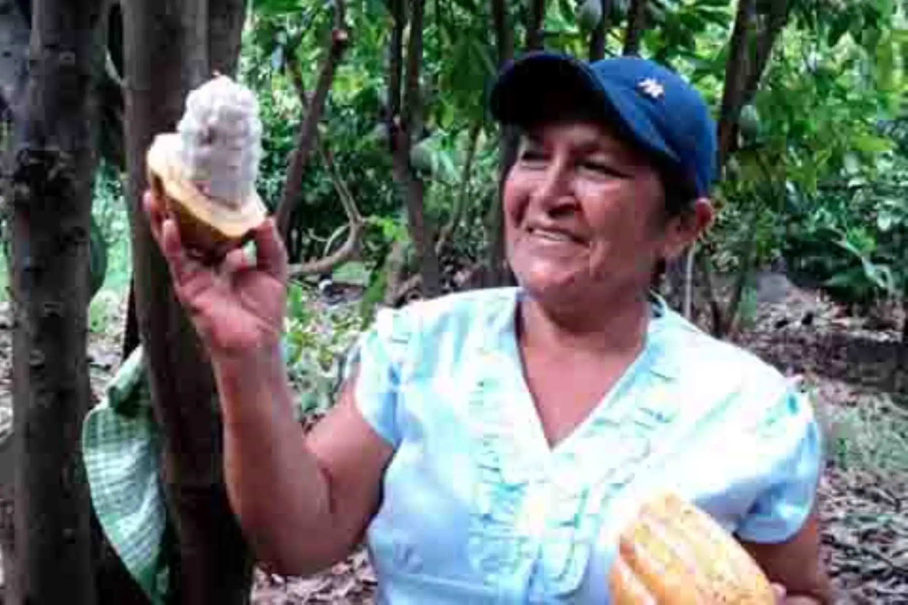 Pequeños productores tienen acceso a capital de trabajo. ANDINA/Difusión