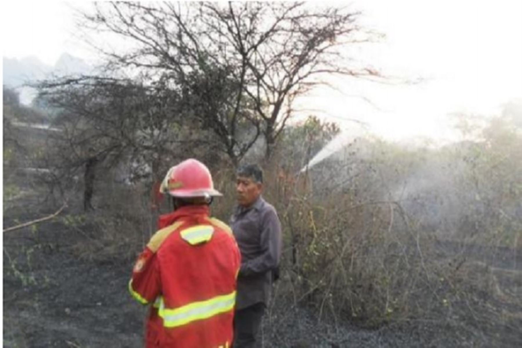 El incendio forestal se originó en el caserío Jaway Negro del  distrito de Salas.