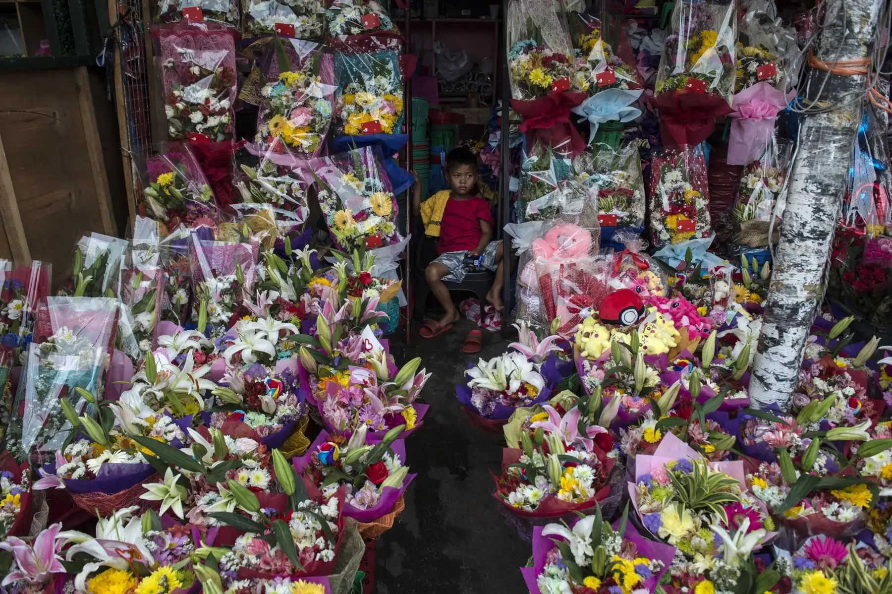 Un niño se sienta dentro de una tienda mientras mira las flores en venta por el Día de San Valentín en Manila. Foto: AFP