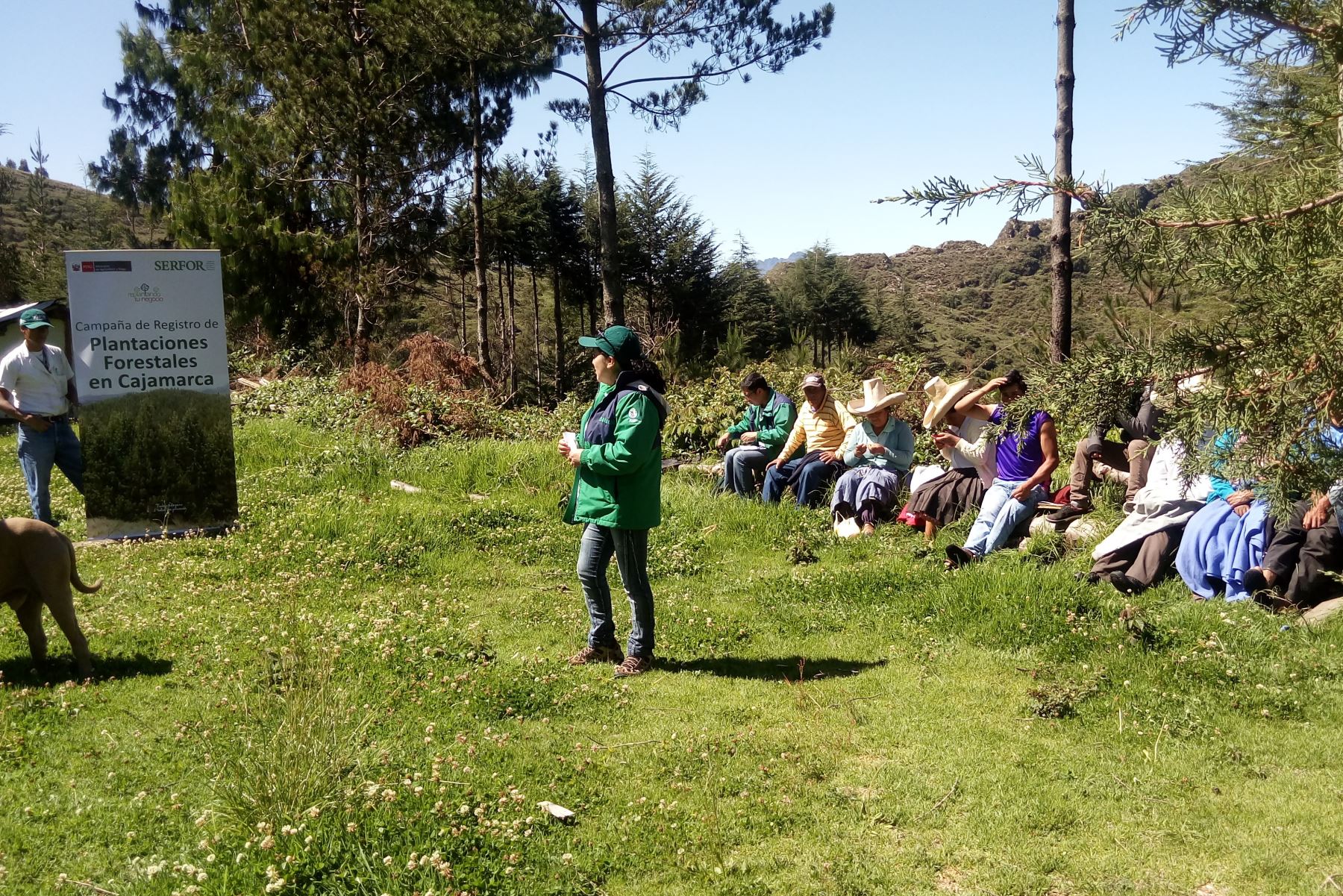 Inician campaña de registro de plantaciones forestales en Cajamarca. ANDINA/Difusión