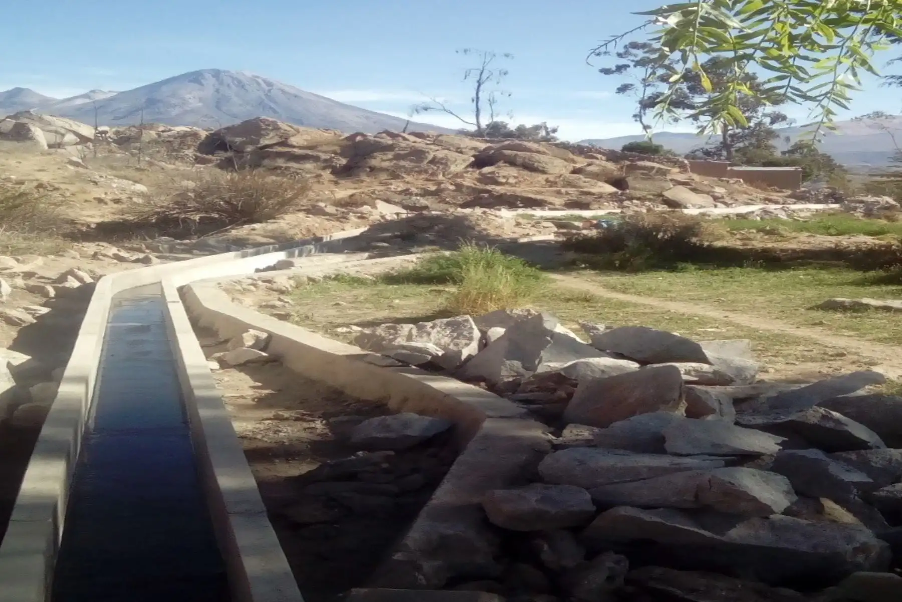 Ministerio de Agricultura impulsará proyectos para dinamizar actividad agrícola en Tacna. ANDINA/Difusión
